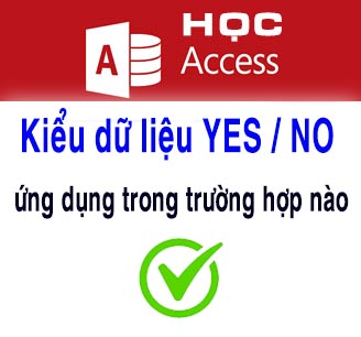 Kiểu dữ liệu YES / NO được ứng dụng trong trường hợp nào khi làm phần mềm bằng Access