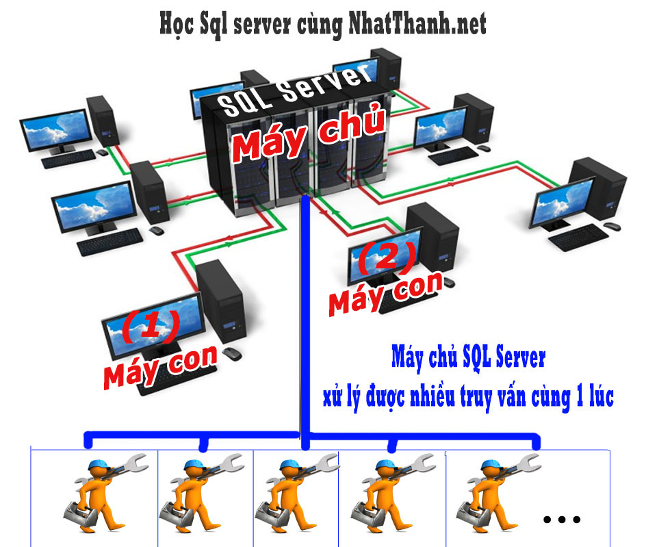 Mô hình hoạt động sql server máy chủ và máy con